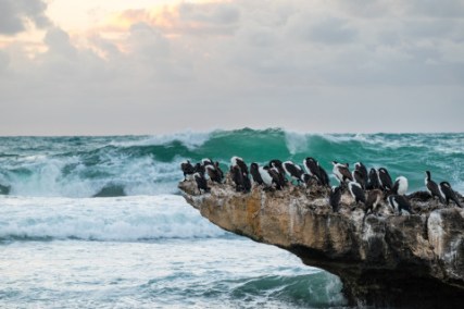 mlvbwzwnolsjgiev8qpe