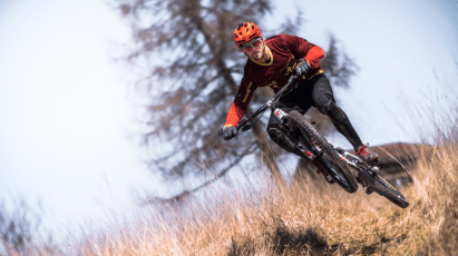 screen-shot-2017-02-05-at-1-53-23-pm