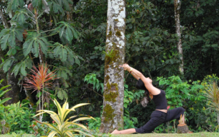 Screen Shot 2017-04-03 at 11.02.09 AM