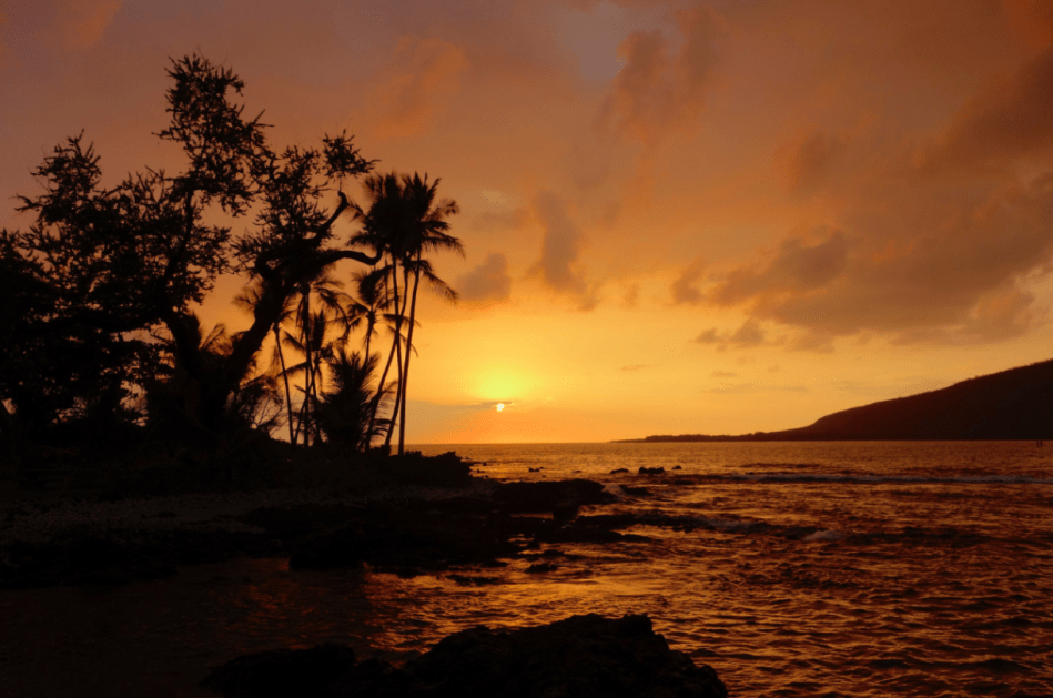 Screen Shot 2017-05-15 at 6.44.43 PM