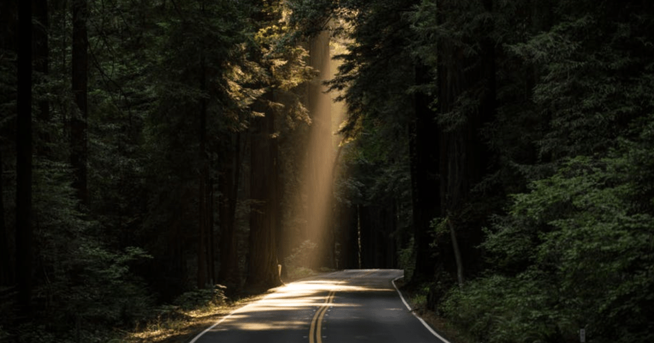 Screen Shot 2017-07-14 at 5.24.49 PM